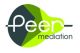 Peer Mediation - Carola Peer
